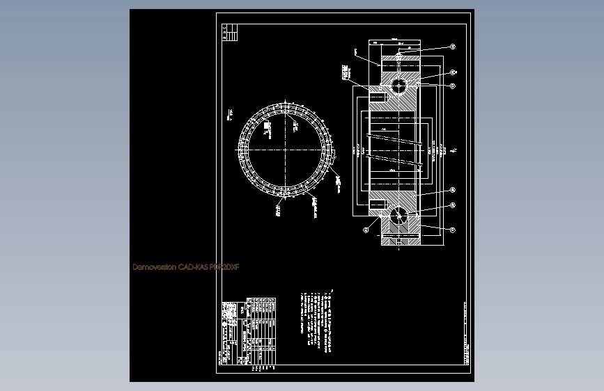 DH300回转支承图=130424=10