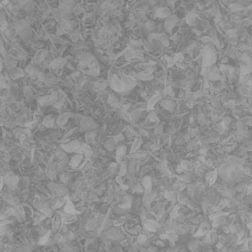 苹果分拣机=1607950=200