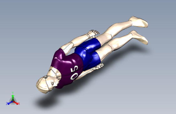 站立的人体标准模型