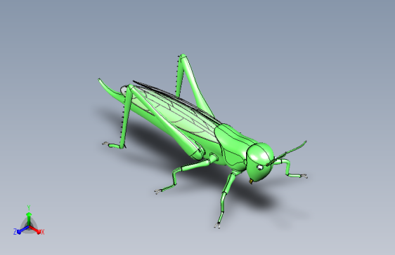 蚂蚱模型3D图纸