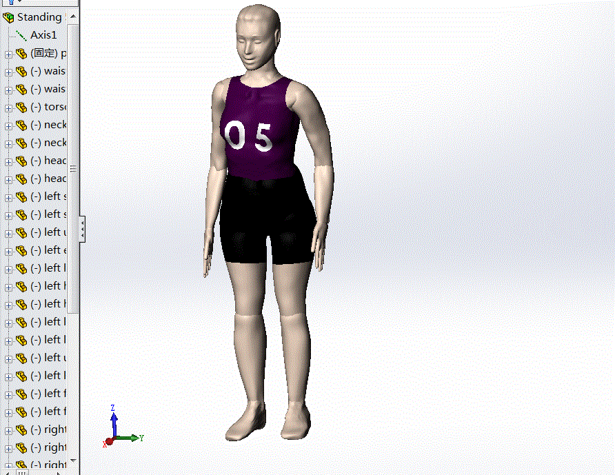 女人人体模型（5种）