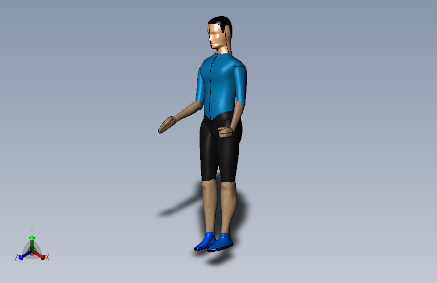 人体姿势模型 SW2016