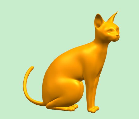 一只坐着的猫