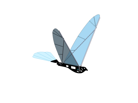 仿生扑翼飞行器