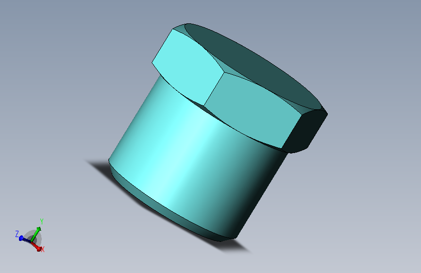 CZXD-不锈钢堵头-BZ02-S-Fa