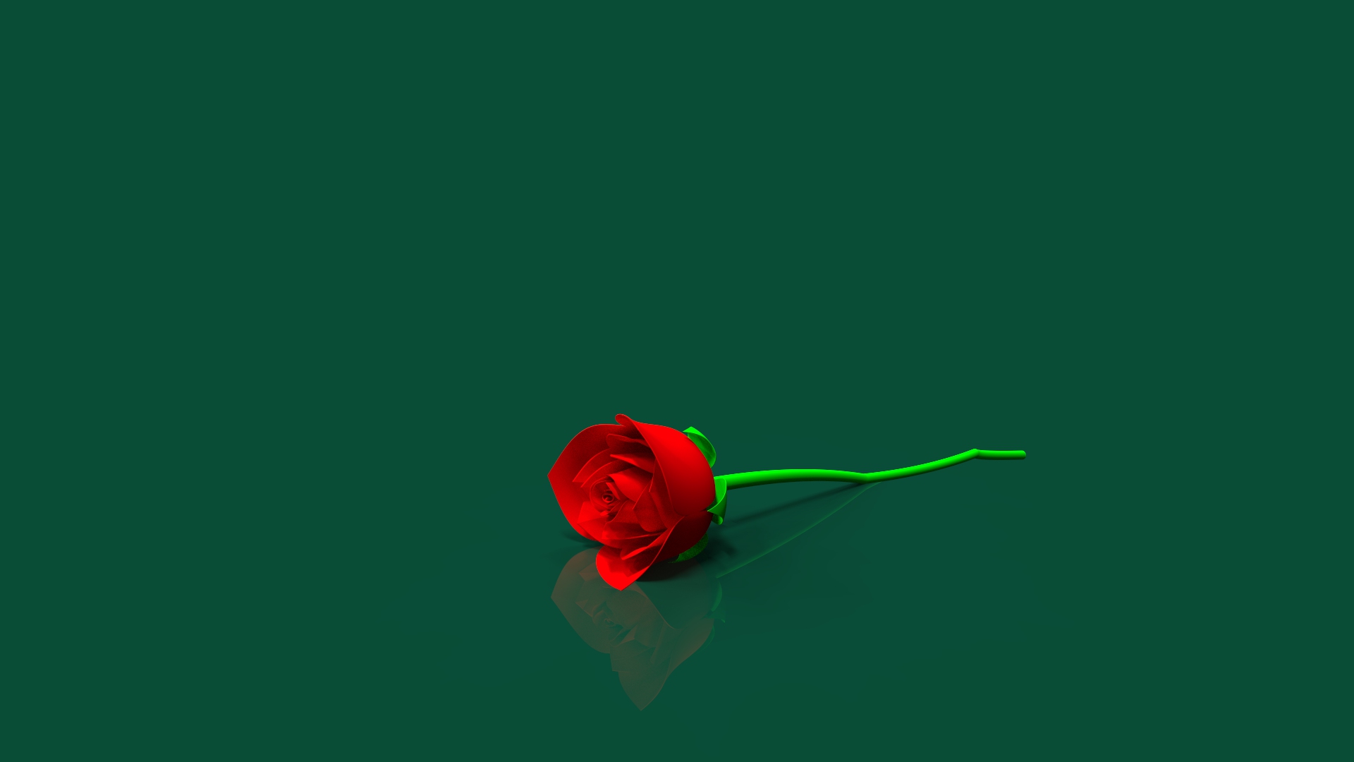 玫瑰花