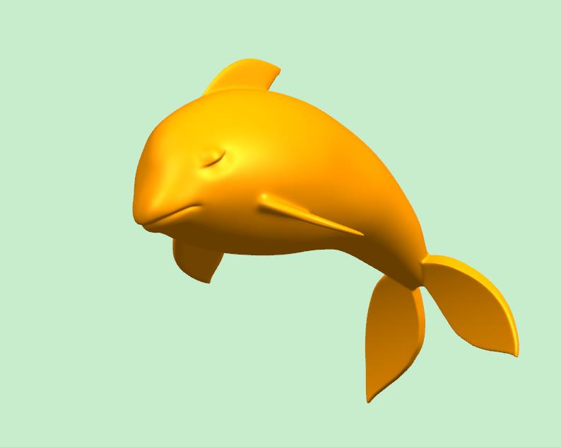 一只小海豚