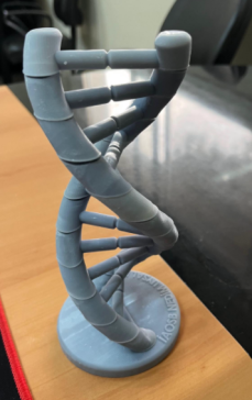 DNA双螺旋结构3D打印图
