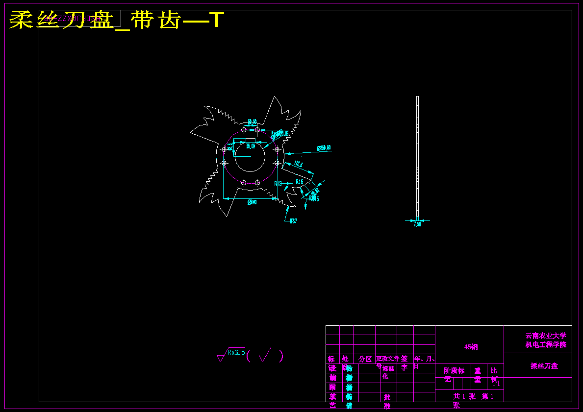 牧草秸秆粉碎机揉丝刀设计含SW三维图+CAD+说明书