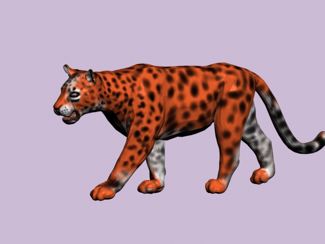 065-猫科动物-CAD