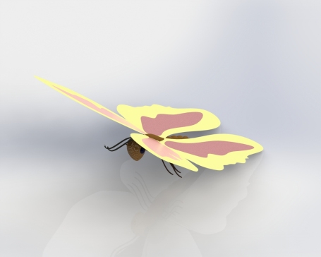 053-蝴蝶-SW
