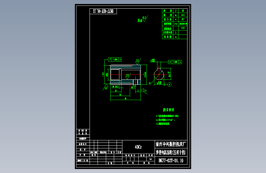 DK77-02T-01.10小齿轮.dwg