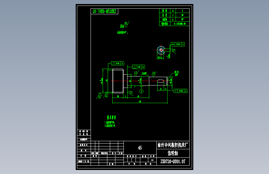 ZXD720-0301.07齿轮轴.dwg