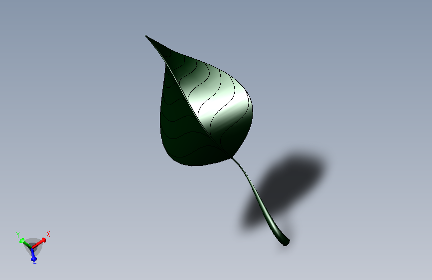A1000893-叶子