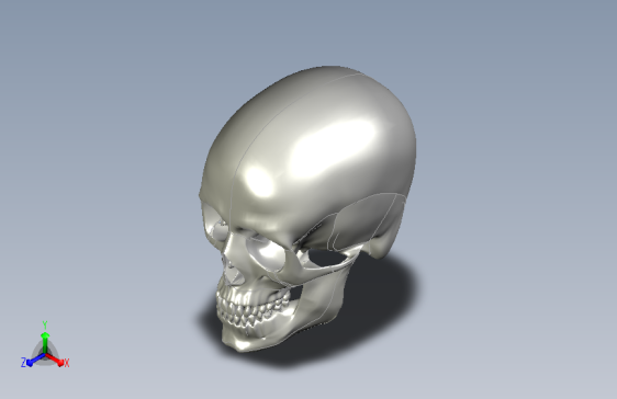 骷髅3D