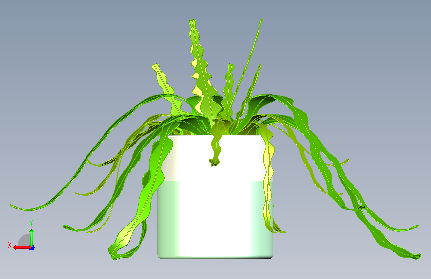 植物15 背面视图