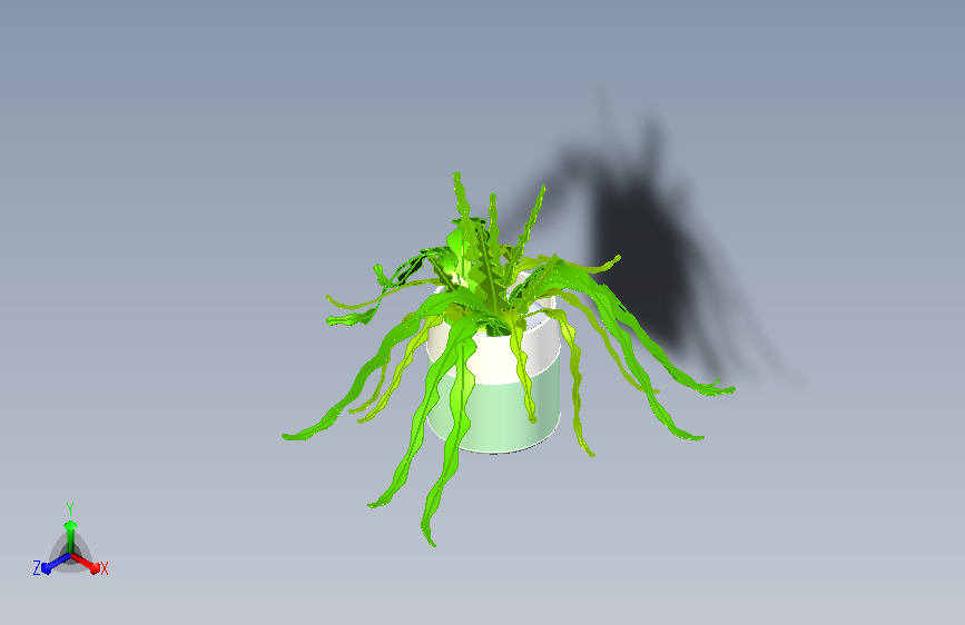 植物15