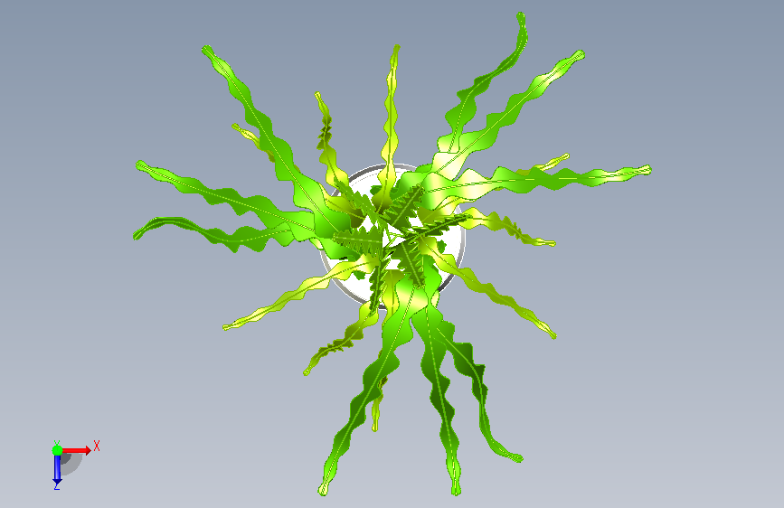 植物15 俯视图