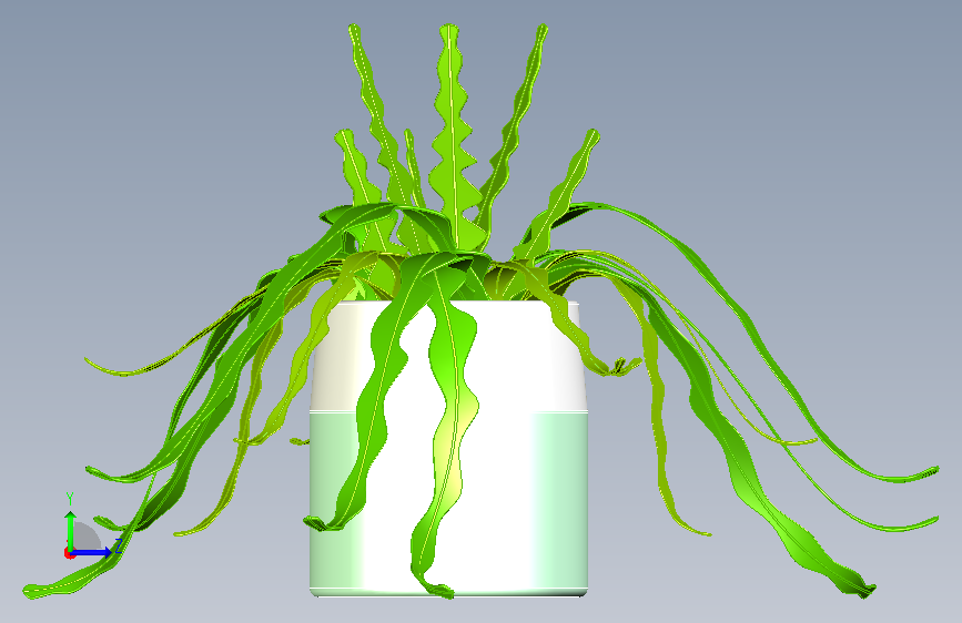 植物15 左侧视图