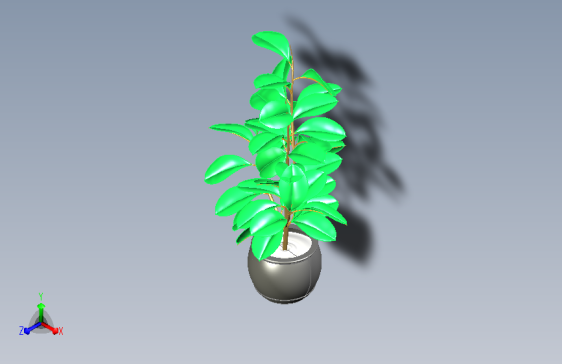 植物23
