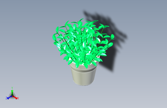 植物14