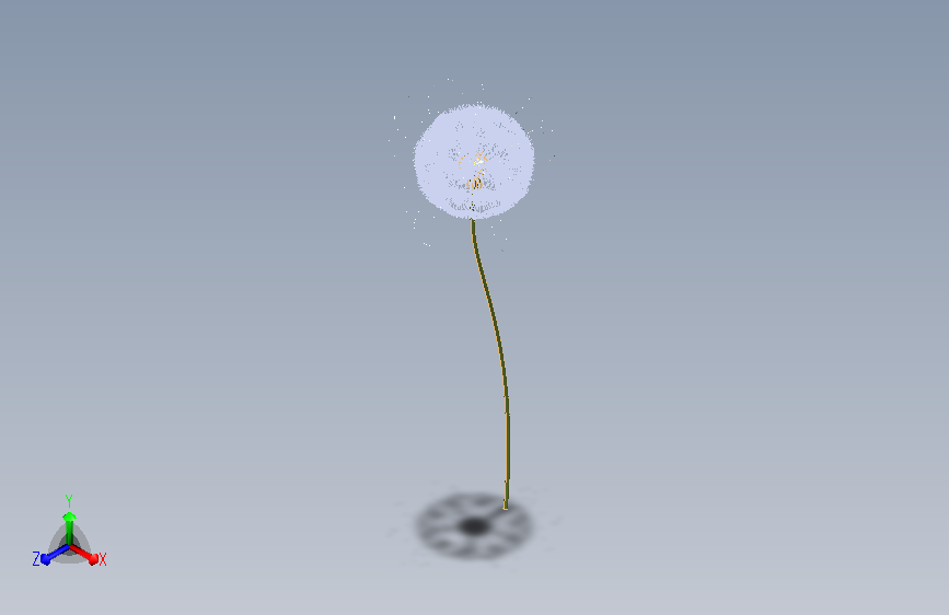 蒲公英