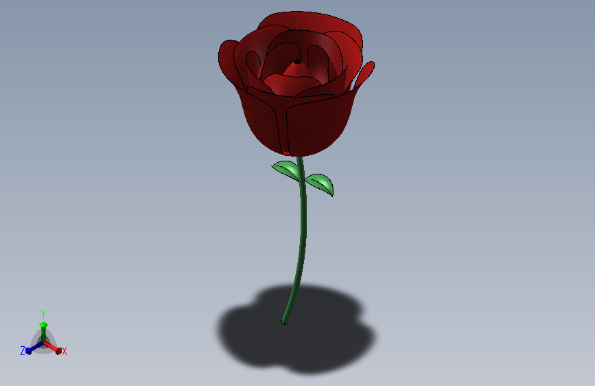 玫瑰花