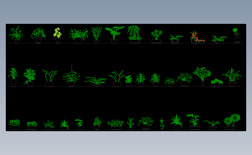 植物模型多种cad