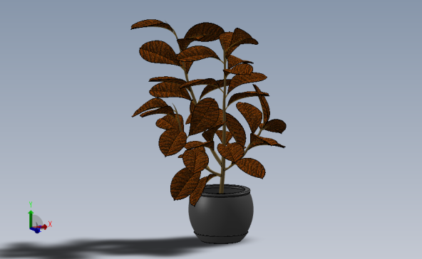 植物