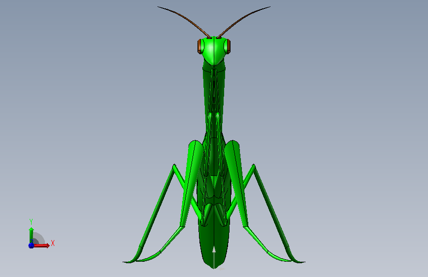 Louva-Deus昆虫螳螂模型3D图纸 IGS格式.zip 正面视图