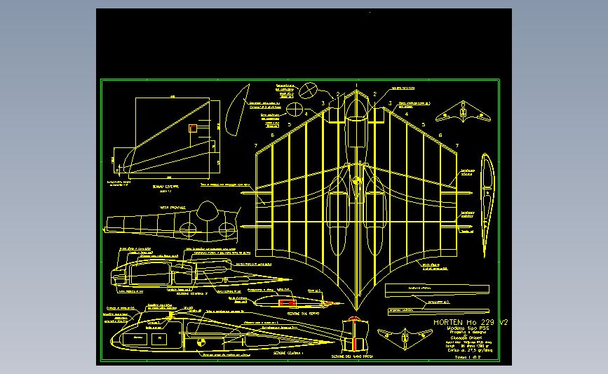 飞机航模HORTEN1A