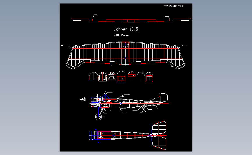 飞机航模Lohner 1015