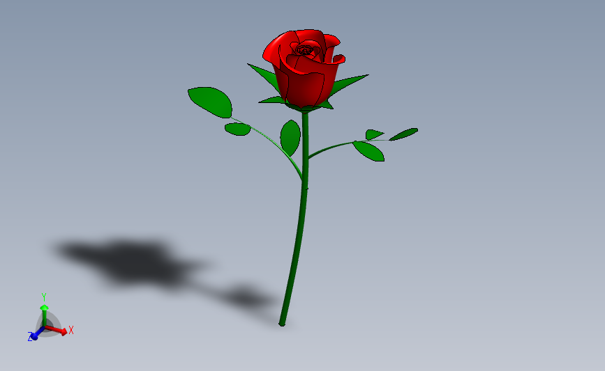 玫瑰花