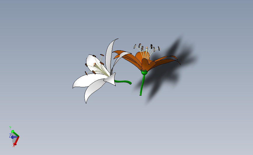 百合花