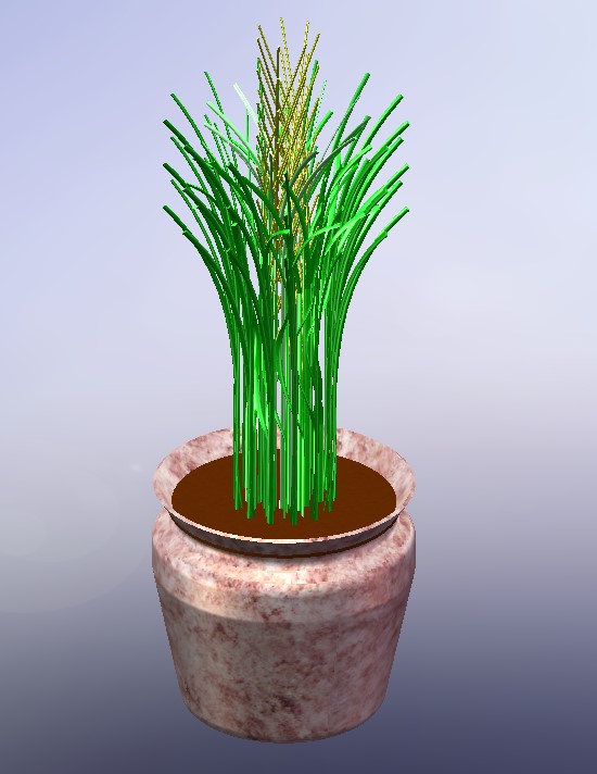 高草盆栽植物