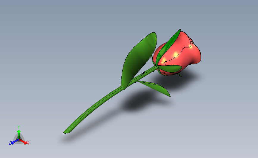 玫瑰花