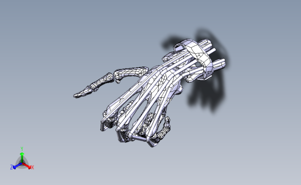 WRIST手骨骼模型