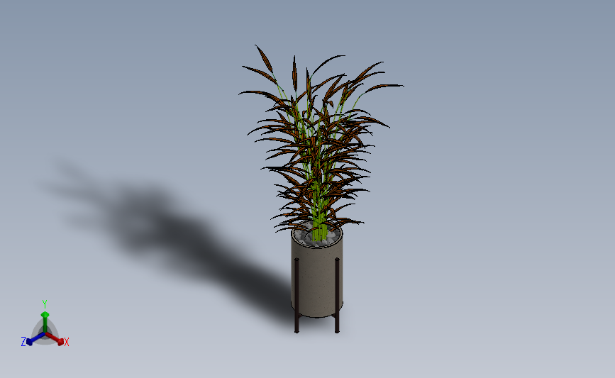 盆栽植物