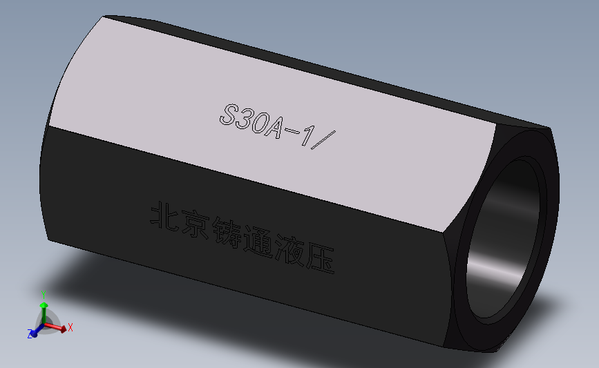 S30A 单向阀