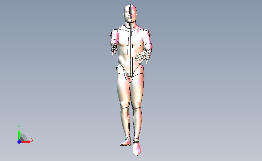 3D人体模型-可自由活动姿态自由调节