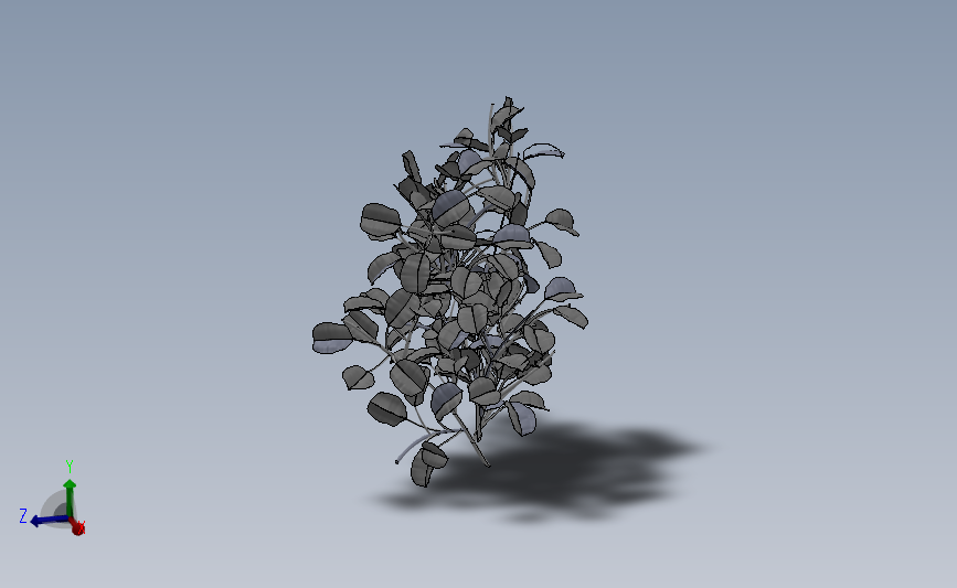 植物 花瓶