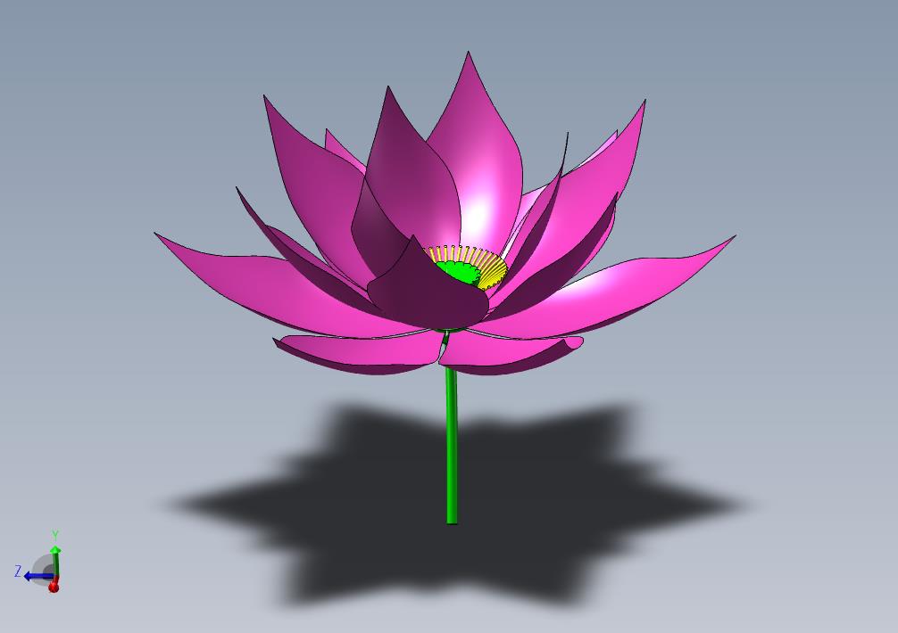 荷花