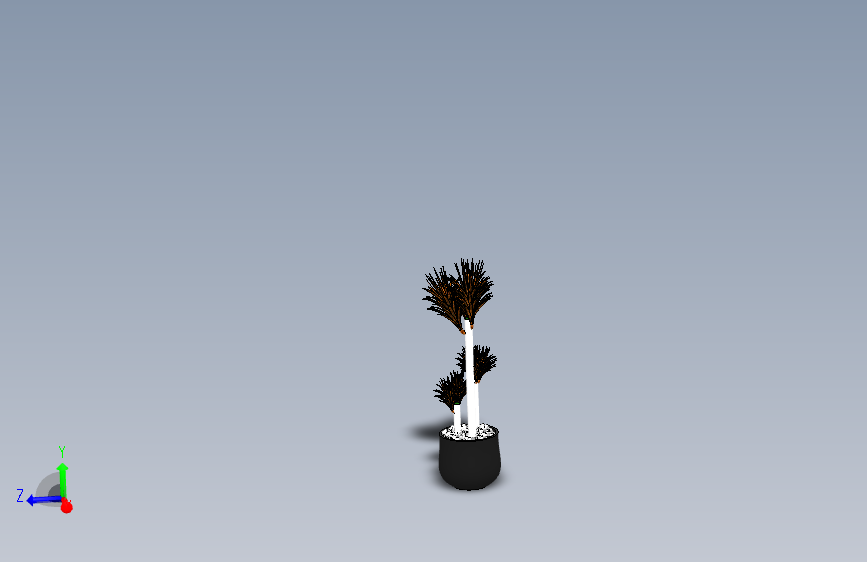 室内绿植盆栽