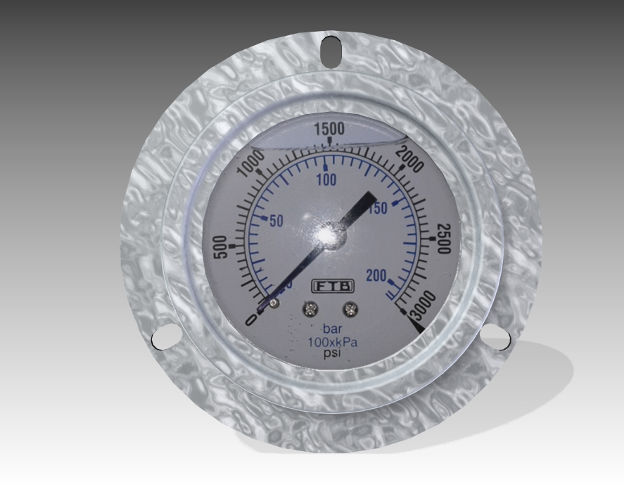 0-3000 PSI 面板压力表