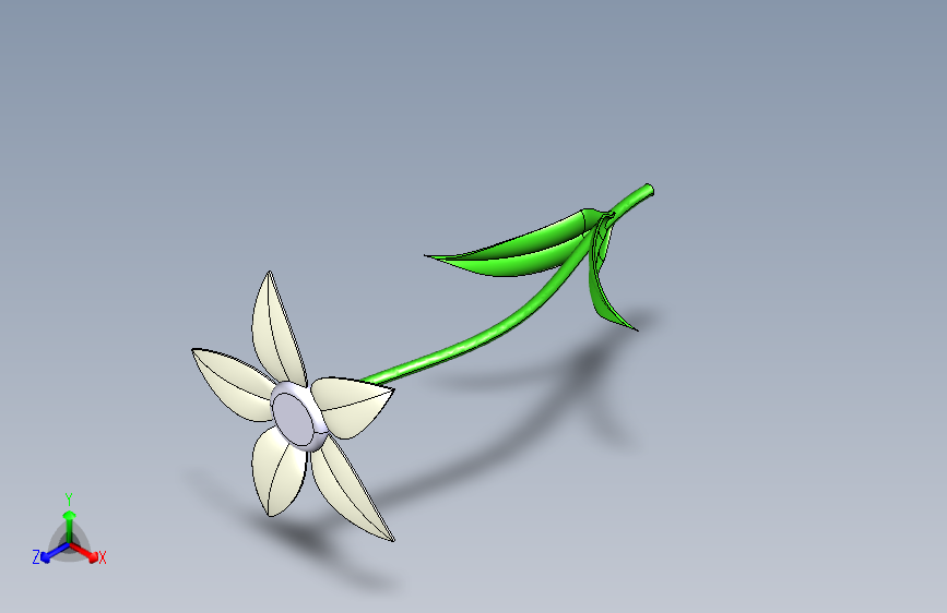 芙蓉