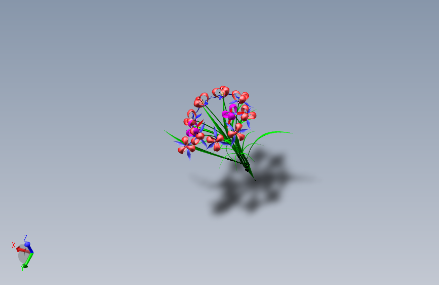花-植物模型