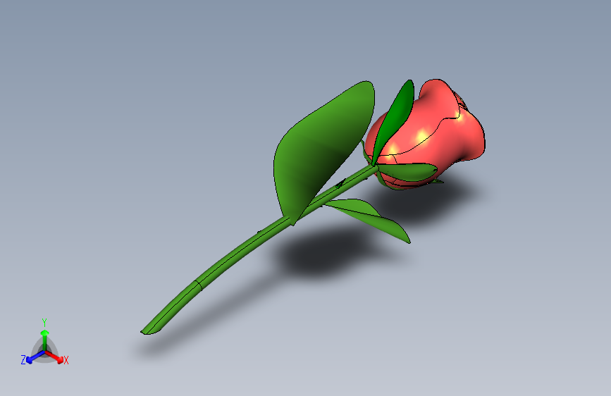 玫瑰花