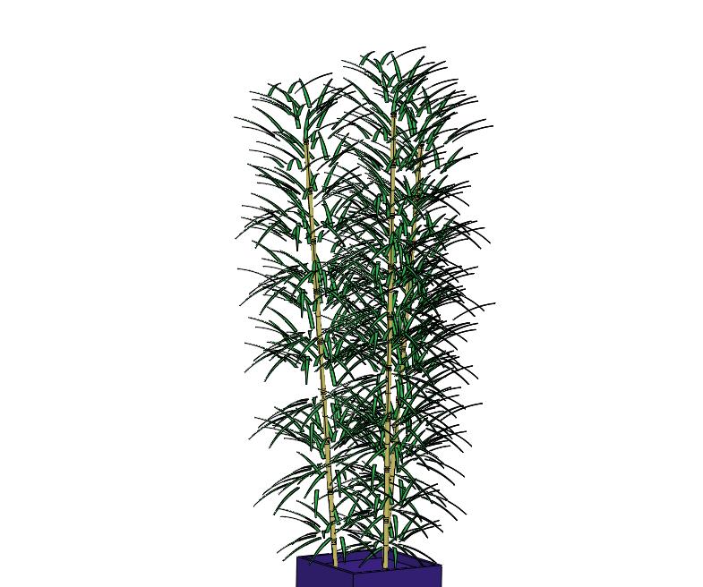 中式书房办公室茶室观音竹竹子盆栽