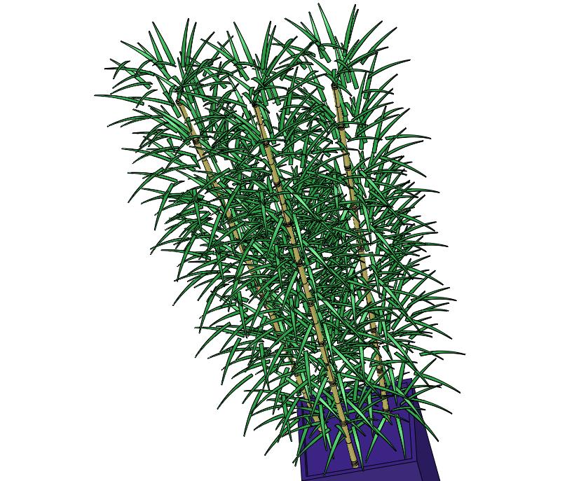 中式书房办公室茶室观音竹竹子盆栽