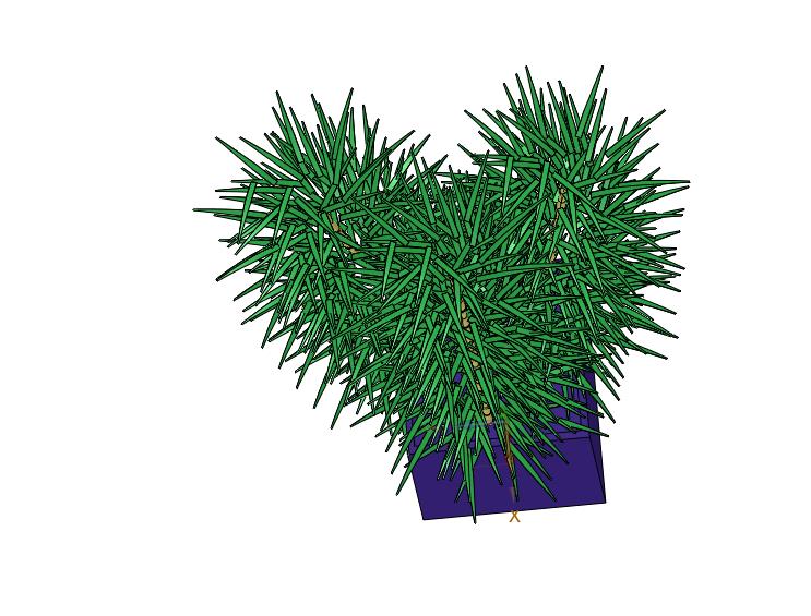 中式书房办公室茶室观音竹竹子盆栽